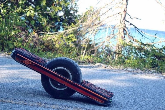 pattino manuale della ruota di 10.5Ah 700W uno con la guardia Rail